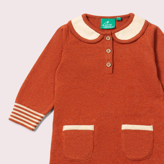 Ginger Knitted Collar Dress