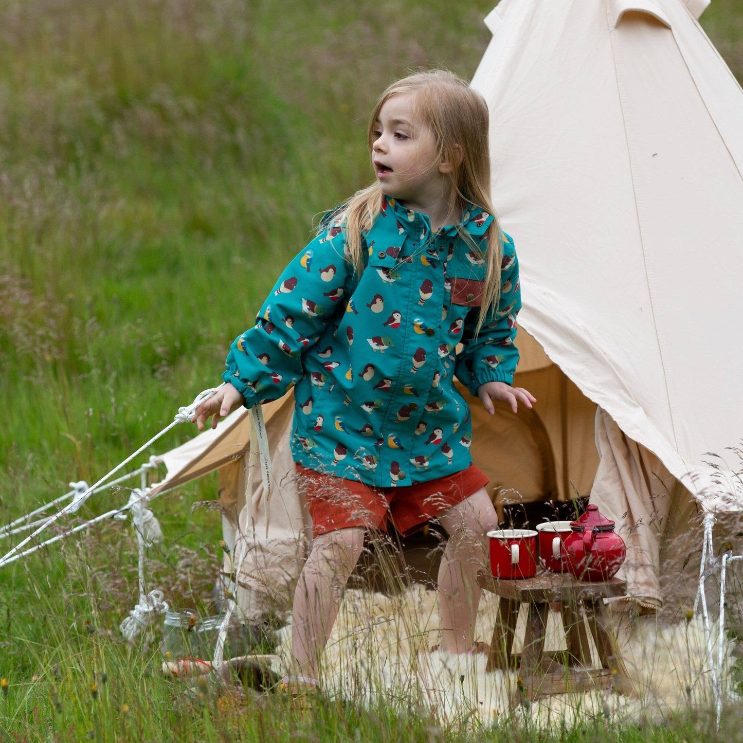 Garden Birds Waterproof Windbreaker Jacket