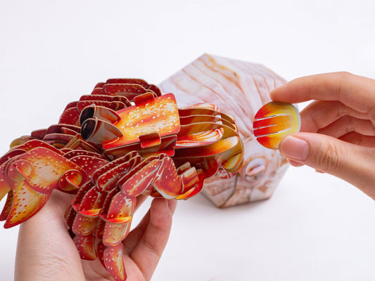 Hermit Crab 3D Puzzle