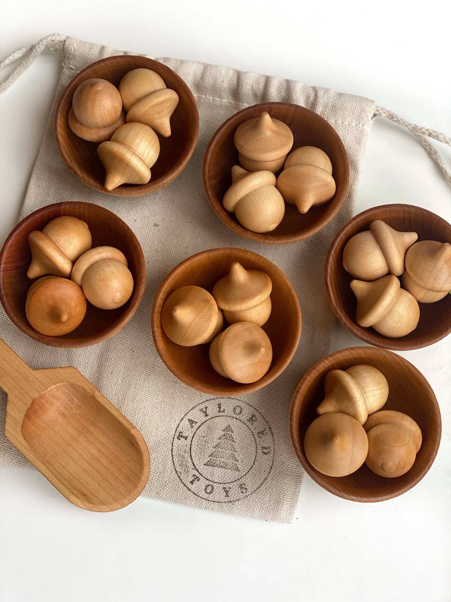 Wood Acorn Sorting Game