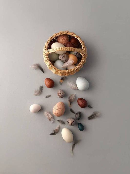 Dozen Bird Eggs in a Basket
