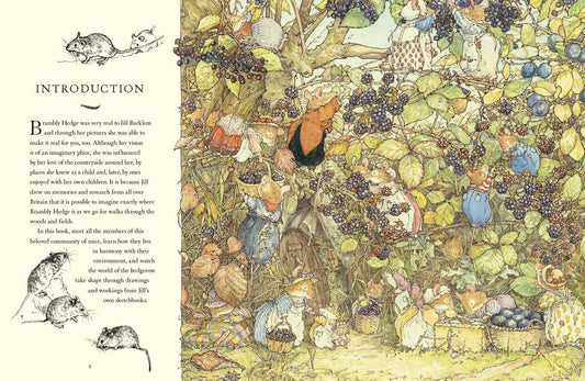 Visit to Brambly Hedge