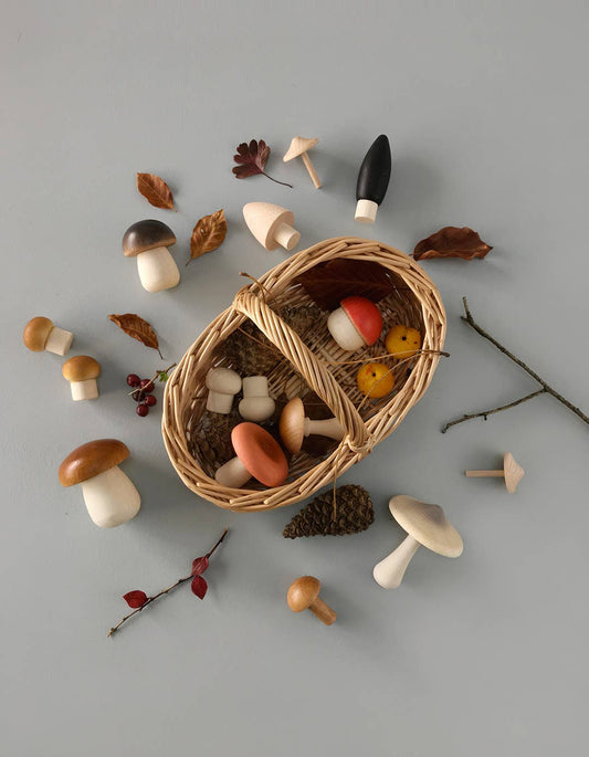Forest Mushrooms Basket