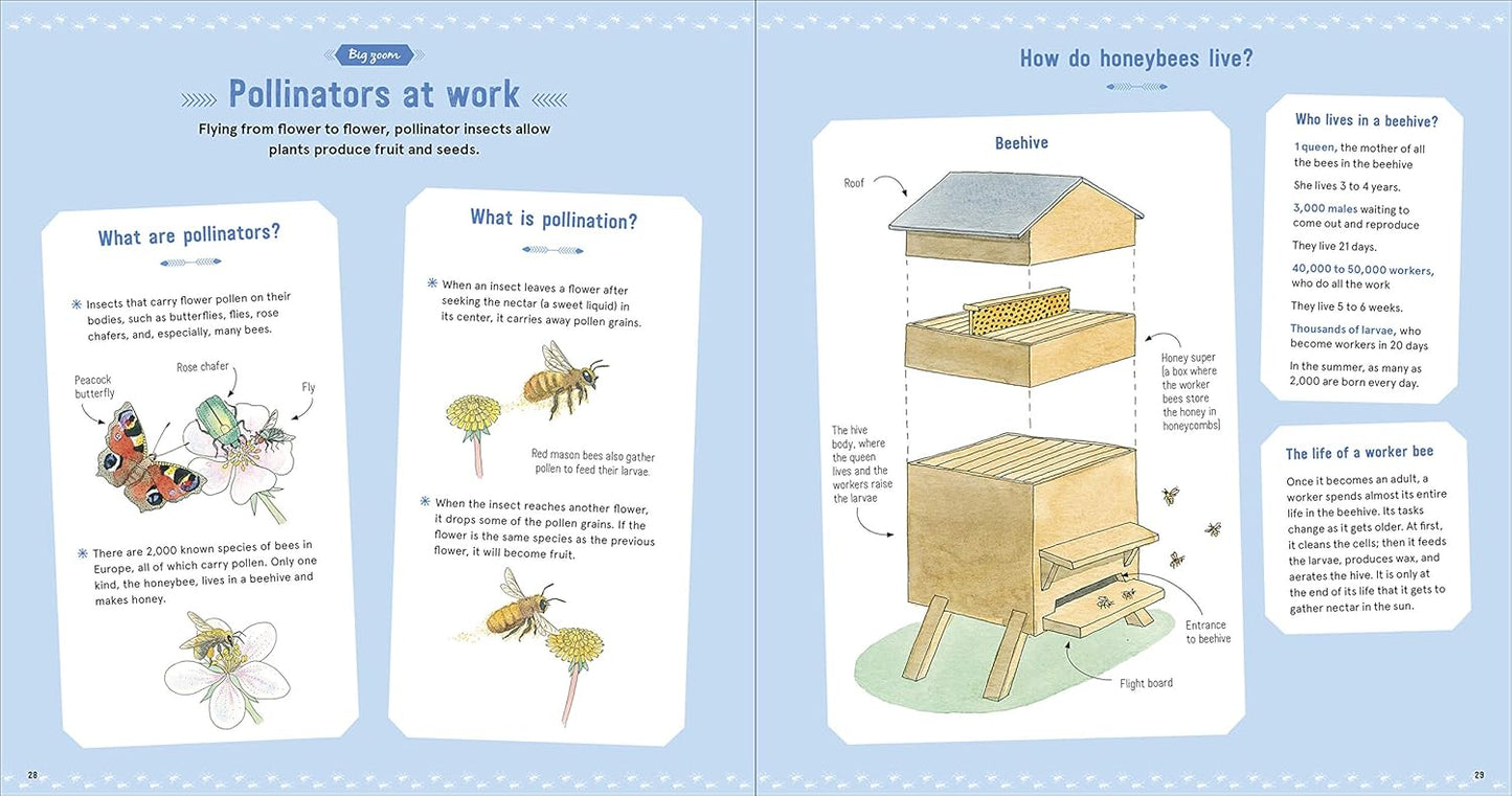 The Book of Tiny Creatures