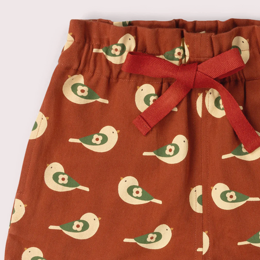 Spring Birds by the Sea Short