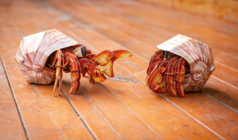 Hermit Crab 3D Puzzle