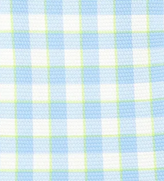 Swim Hat in Blue Gingham