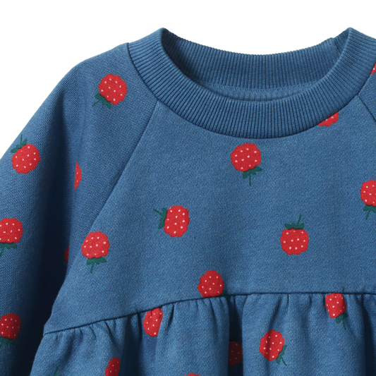Ines Raspberry Sweatshirt Dress