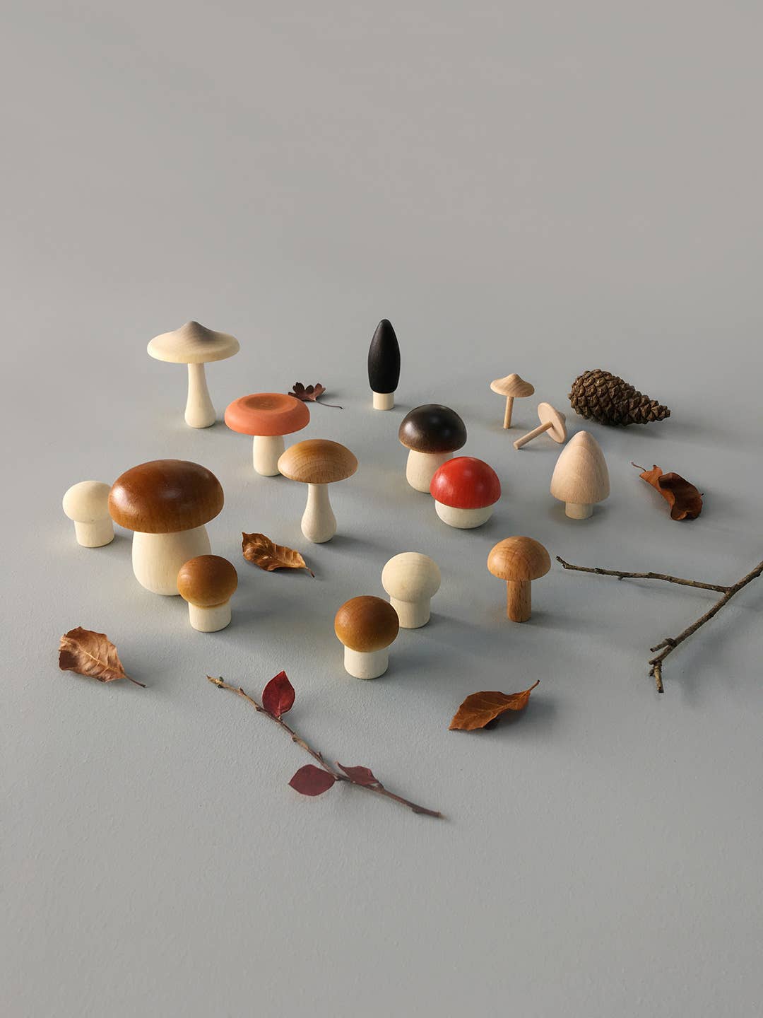 Forest Mushrooms Basket