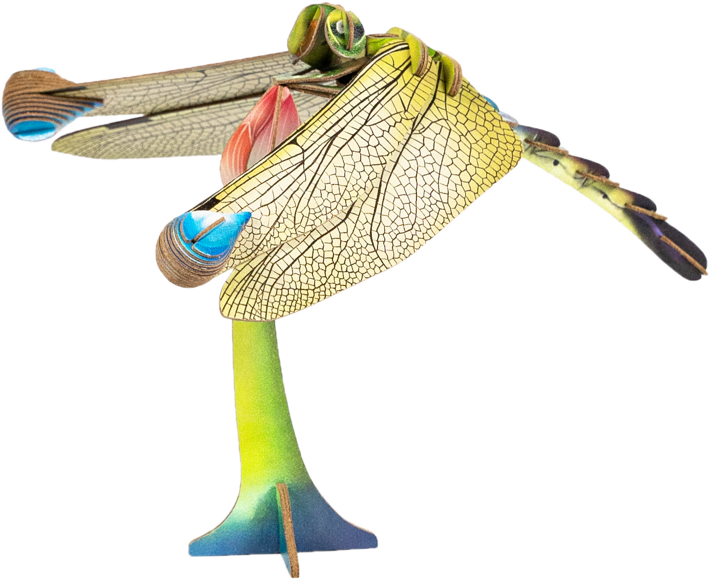 Dragonfly 3D Puzzle