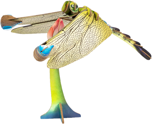 Dragonfly 3D Puzzle