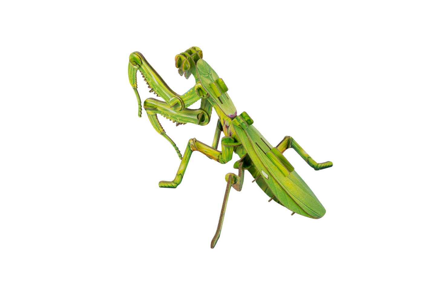 Giant Praying Mantis Puzzle