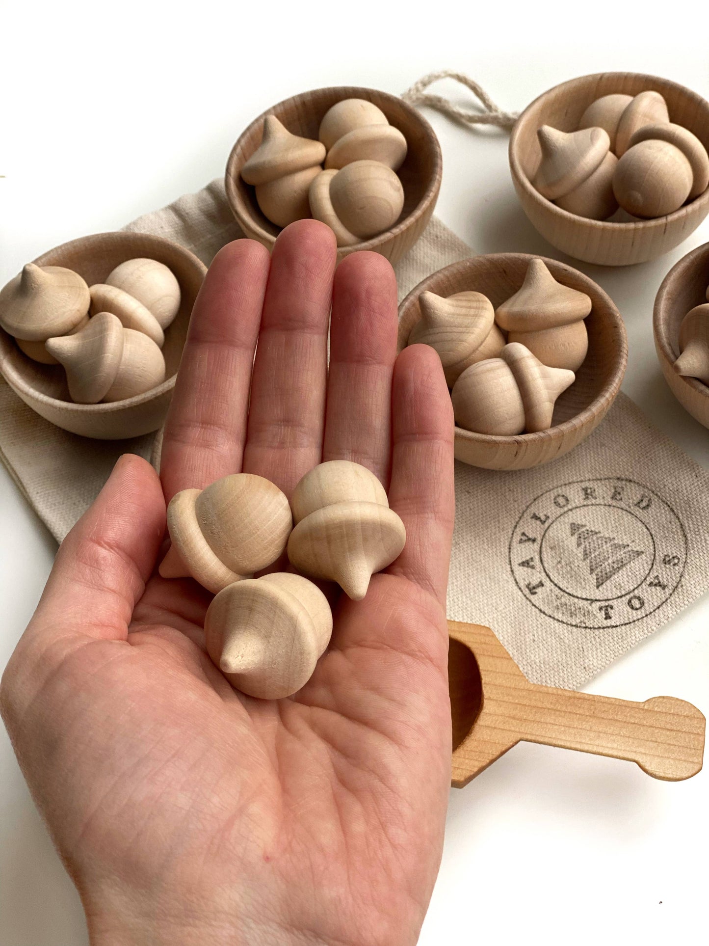 Wood Acorn Sorting Game