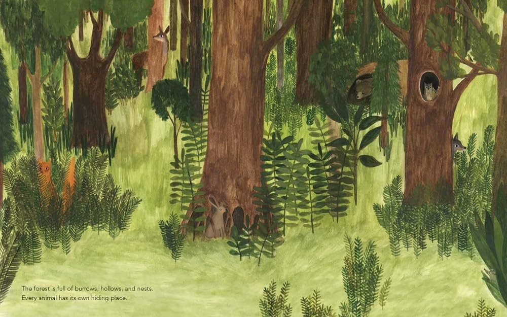 A Walk in the Forest