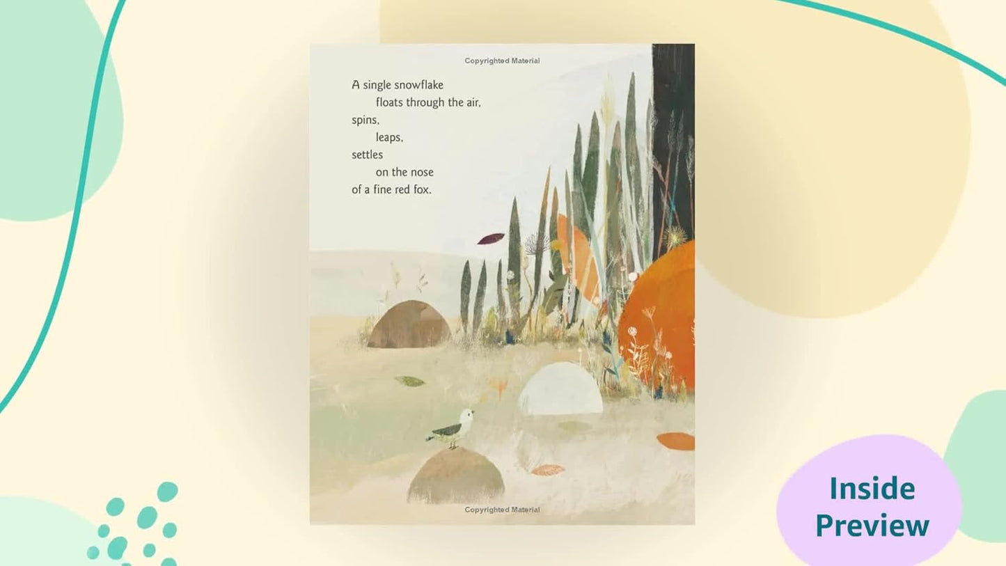 Winter Dance Board Book