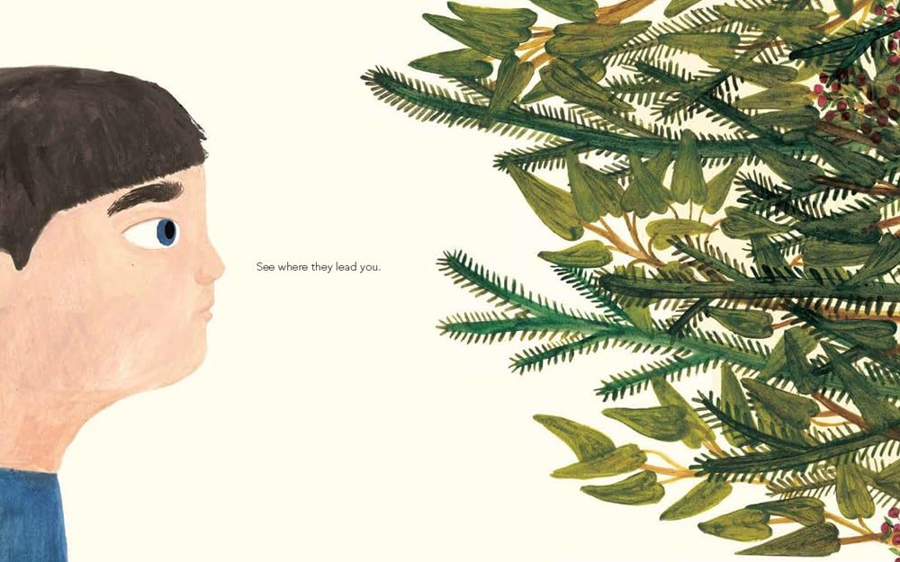 A Walk in the Forest