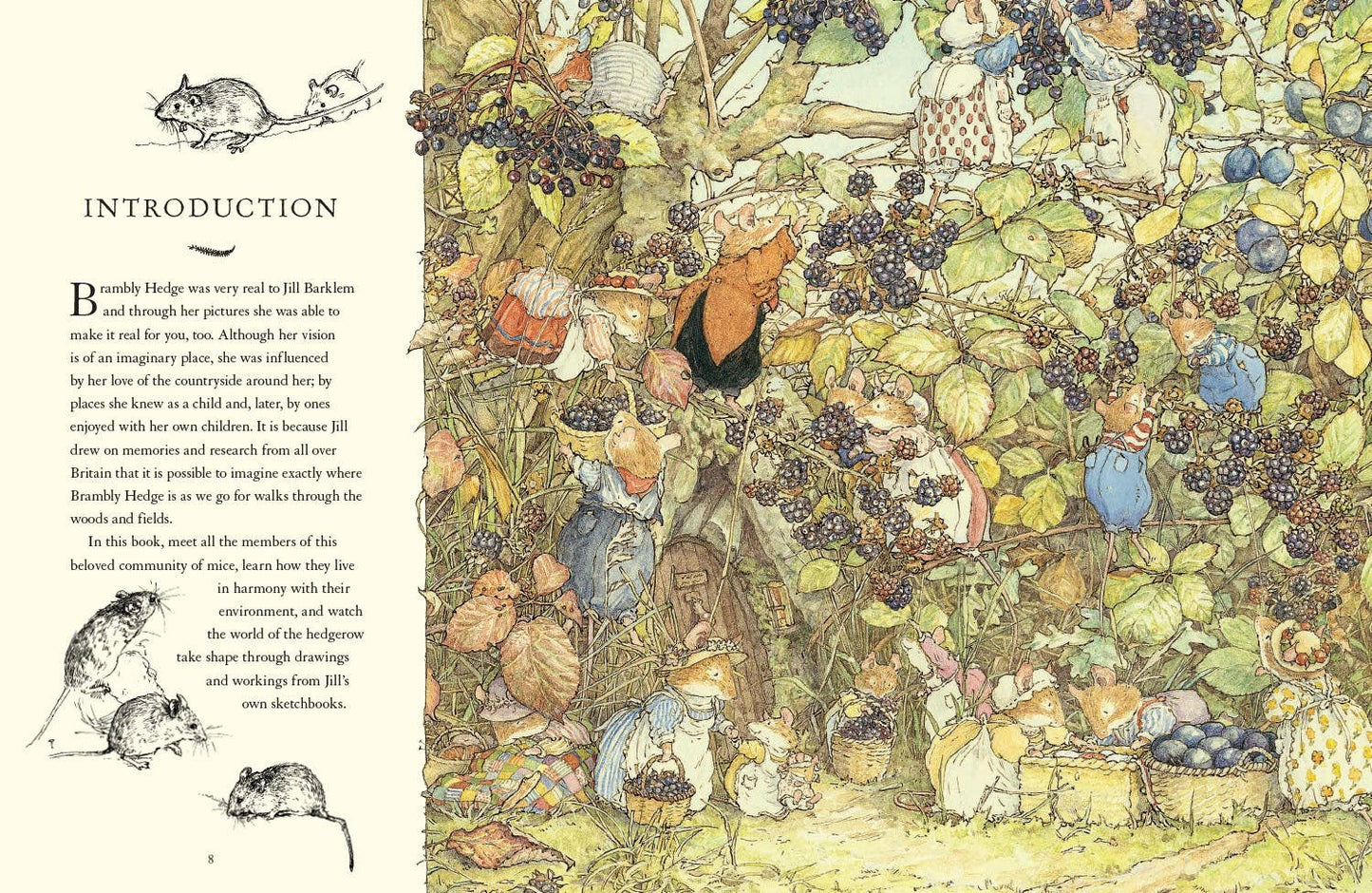 Visit to Brambly Hedge