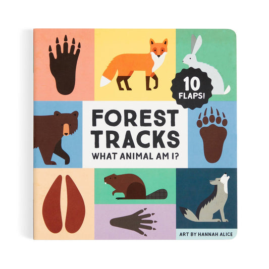 Forest Tracks: What Animal Am I?