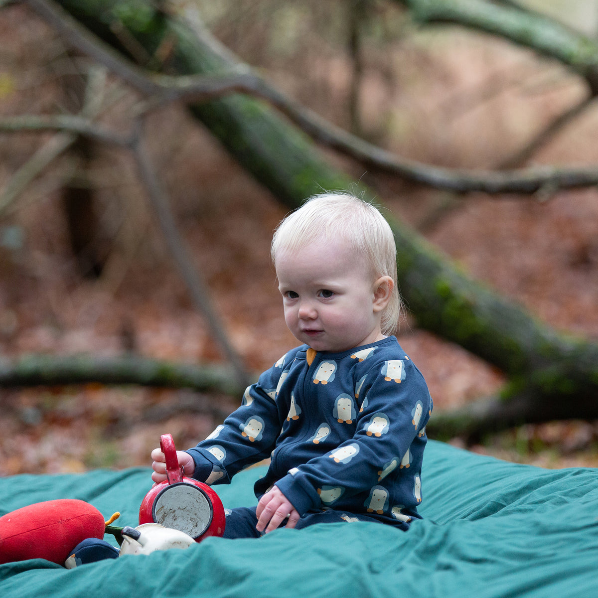 Blue Penguins Organic Zip Babygrow