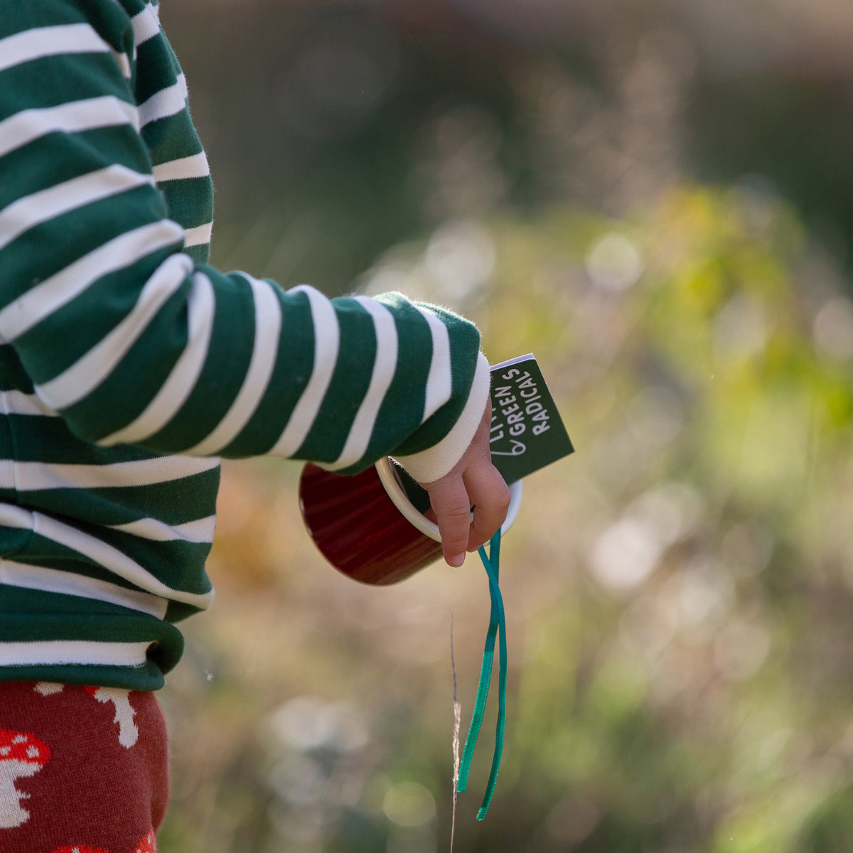 Olive Striped Long Sleeve T-Shirt