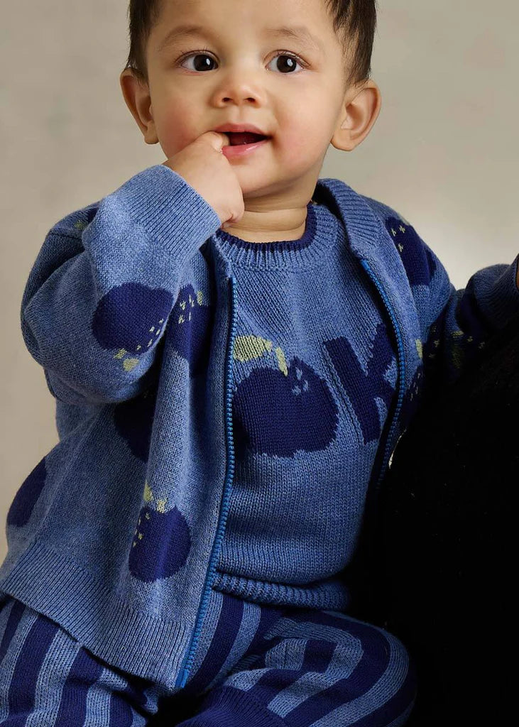 Blue Apple Jacquard Knit Cardigan