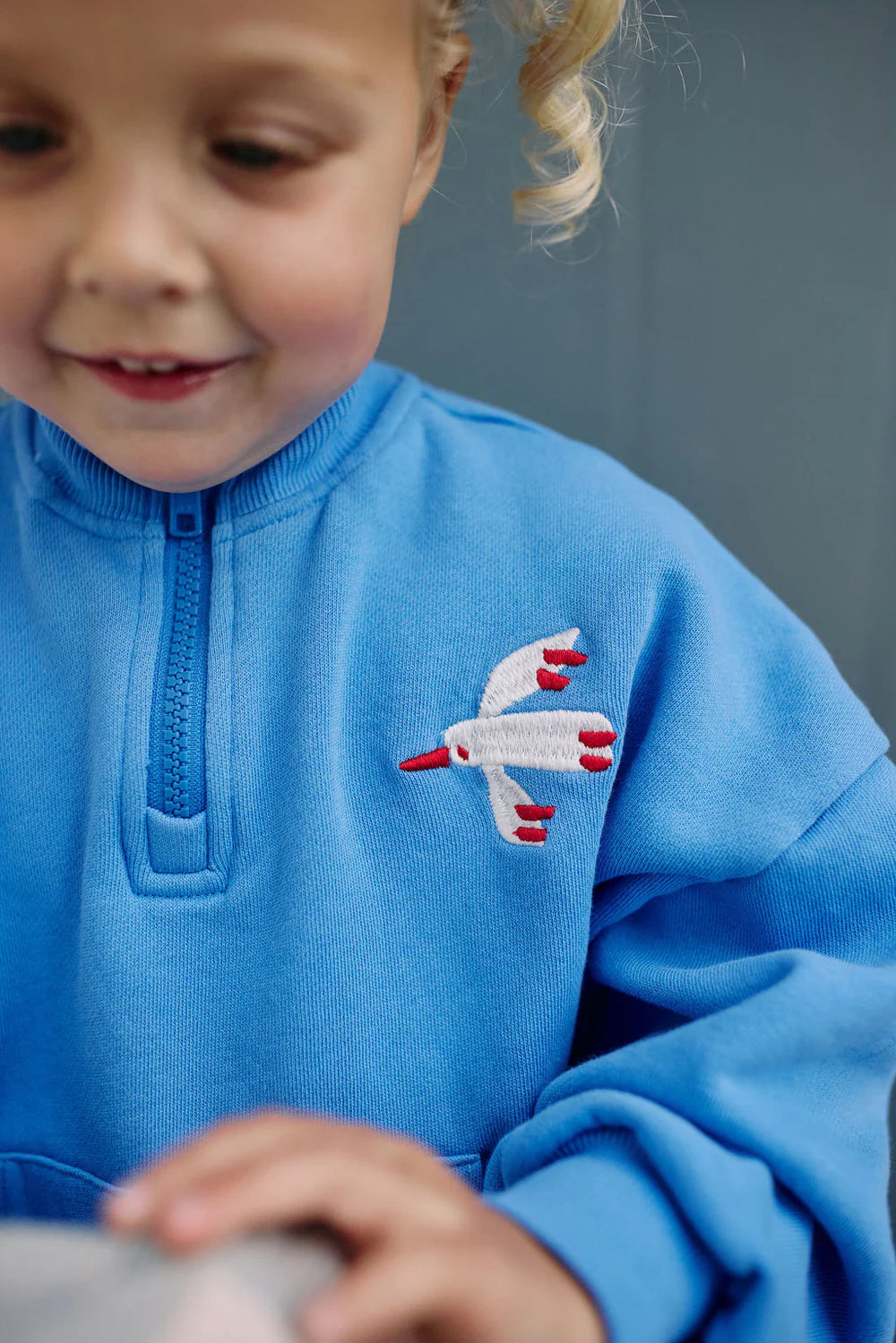 Bird Quarter Zip