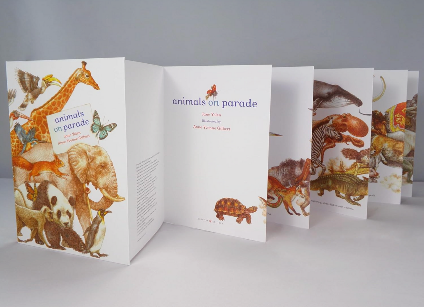 Animals On Parade