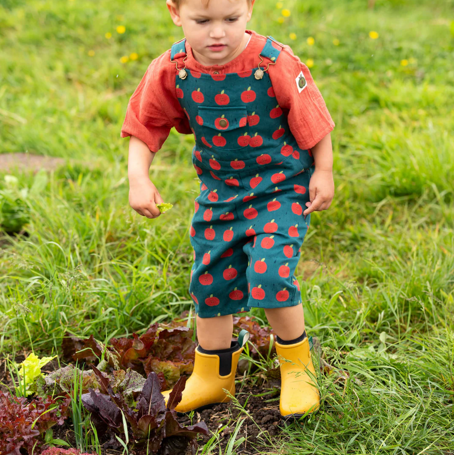 Apple Dungaree Shortalls
