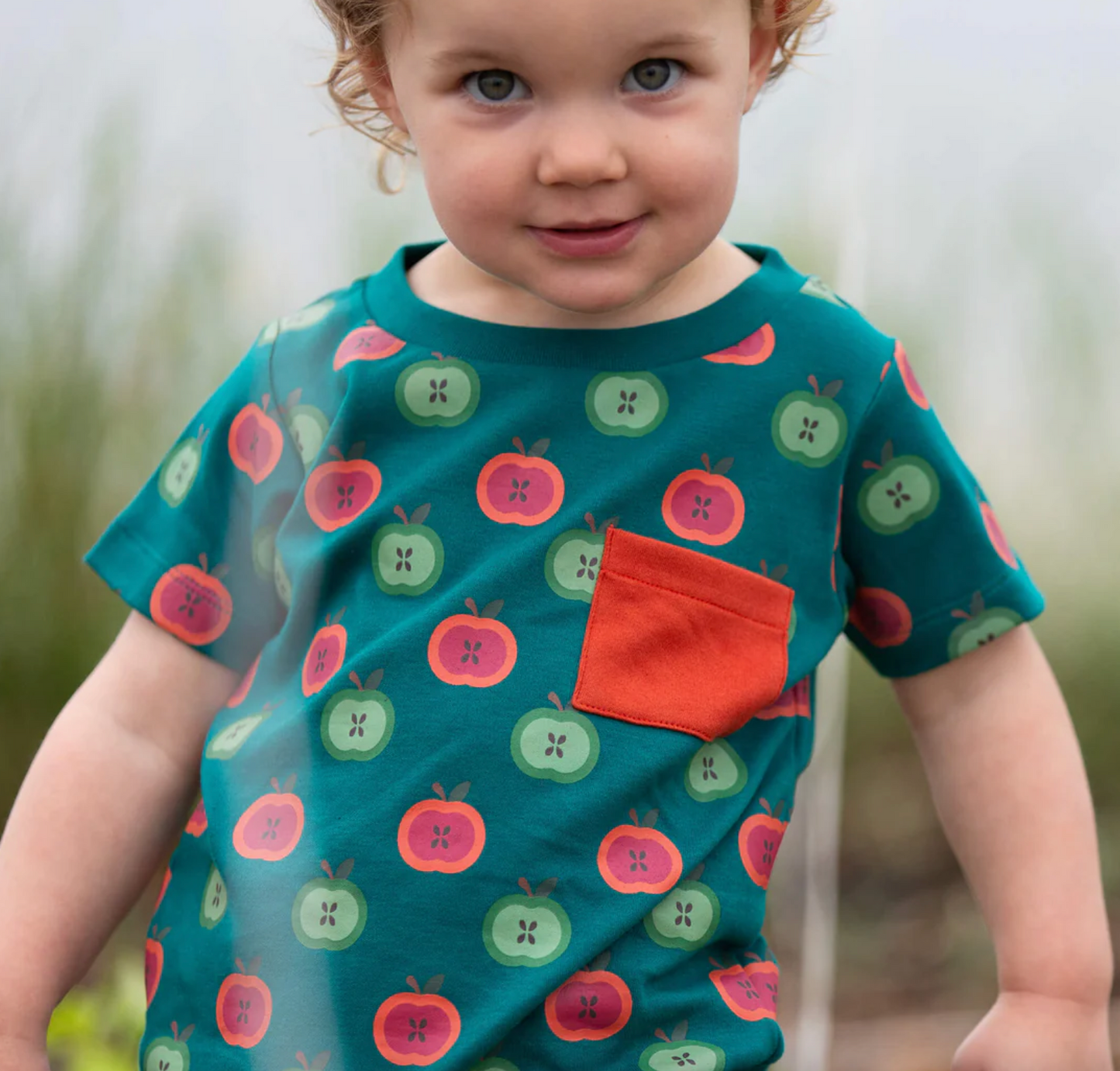 Apple-Picking Play Set