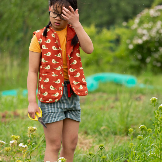 Spring Birds by the Sea Gilet Vest