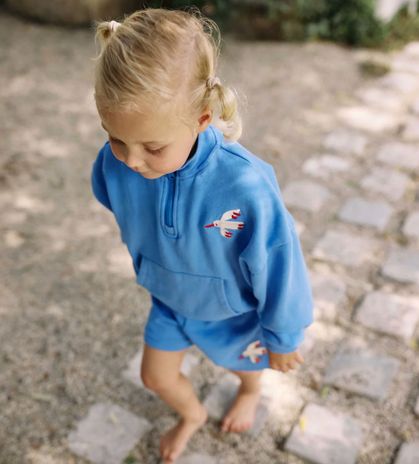 Bird Quarter Zip