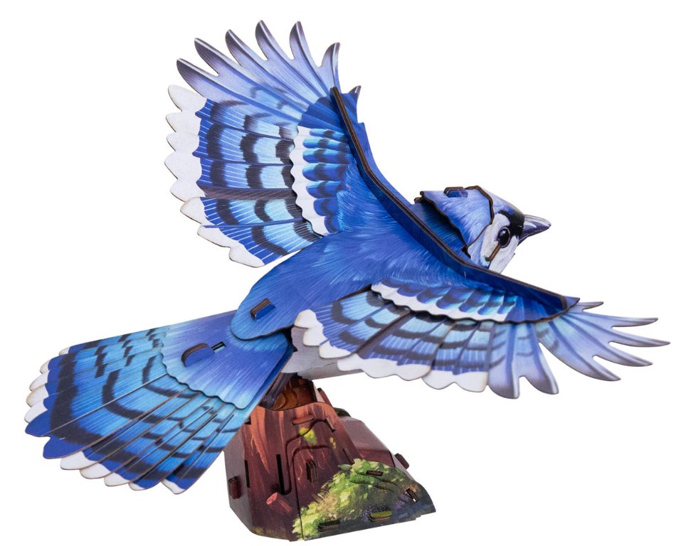 Sky Echo Blue Jay