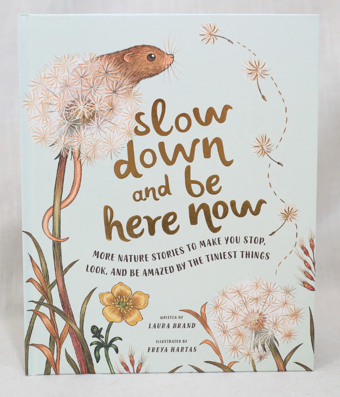 Slow Down and Be Here Now