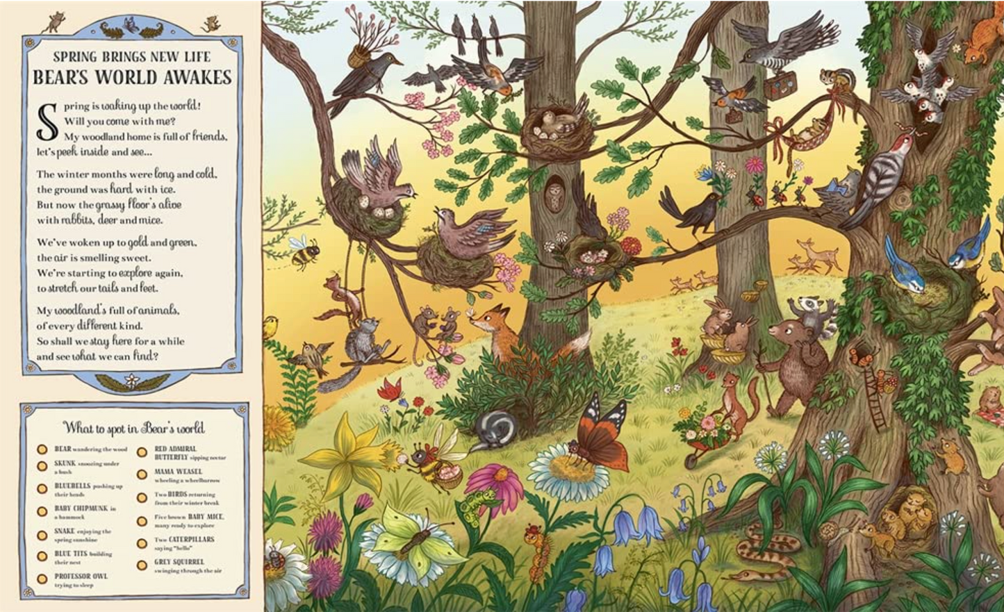 If You Go Down to the Woods Today: A Search and Find