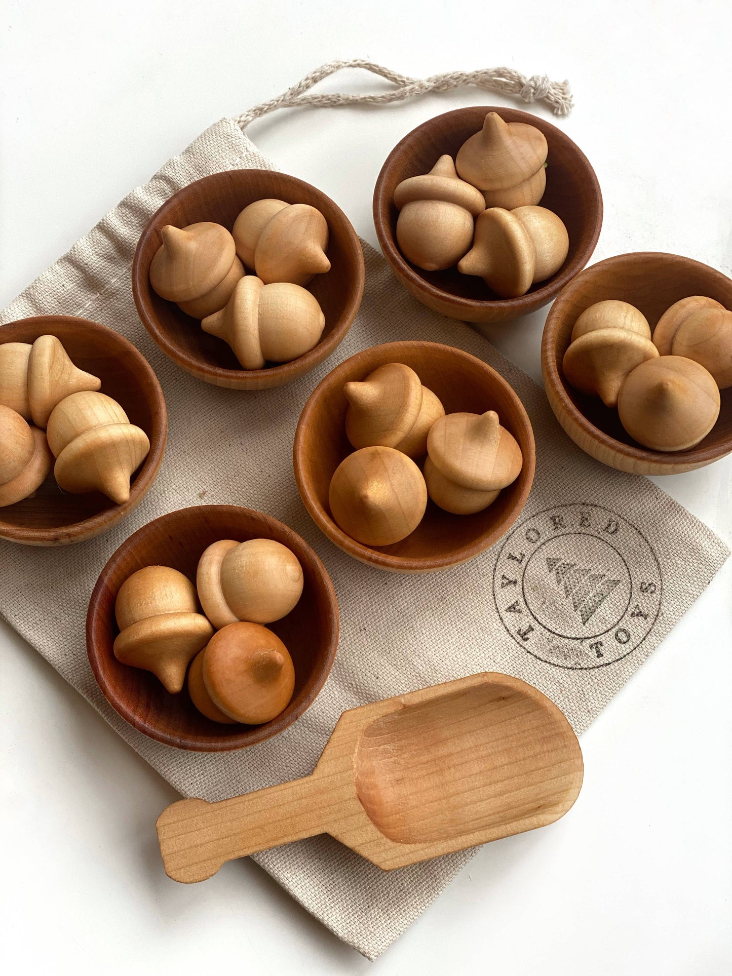 Wood Acorn Sorting Game
