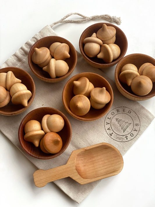 Wood Acorn Sorting Game