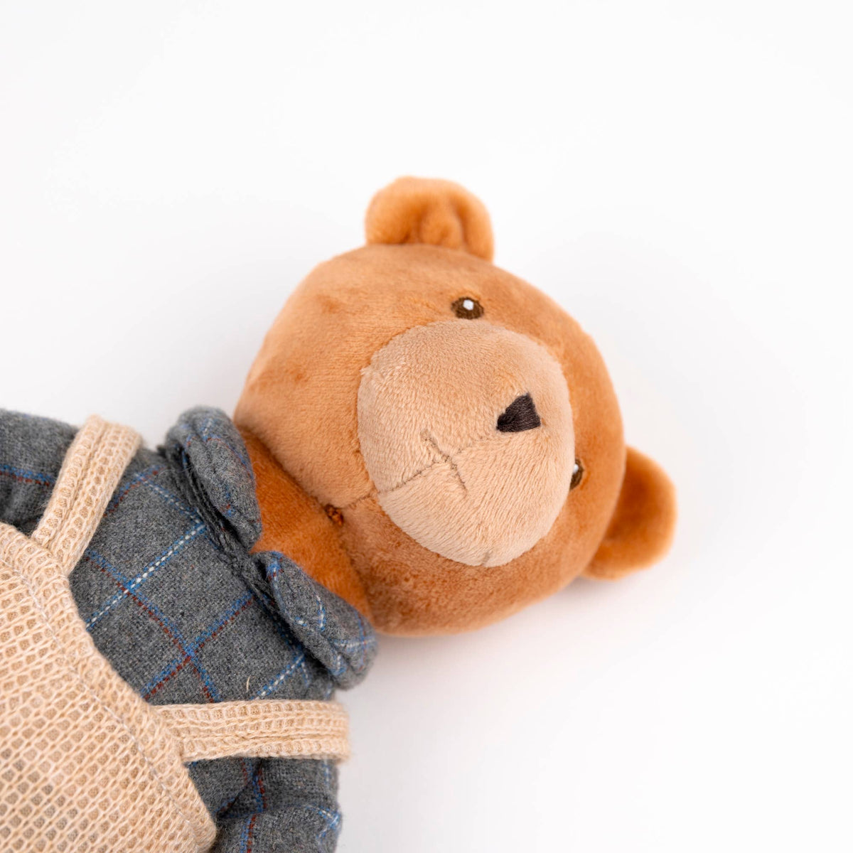 Oscar the Bear