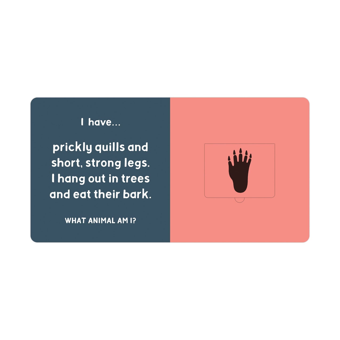 Forest Tracks: What Animal Am I?