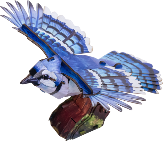 Sky Echo Blue Jay