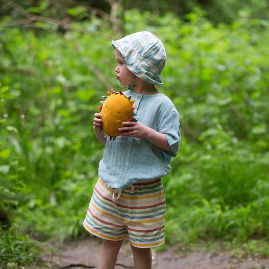 By The Sea Rainbow Striped Shorts