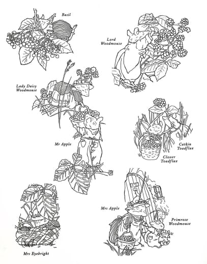 Brambly Hedge: Nature Coloring Book