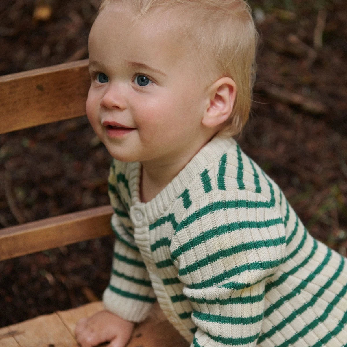 Pine Stripped Lou Suit