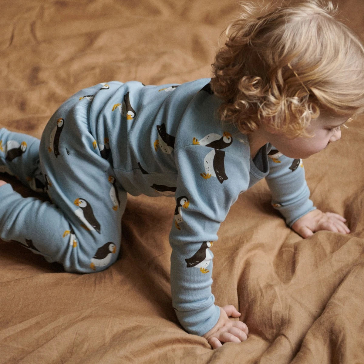 Puffin Pj's