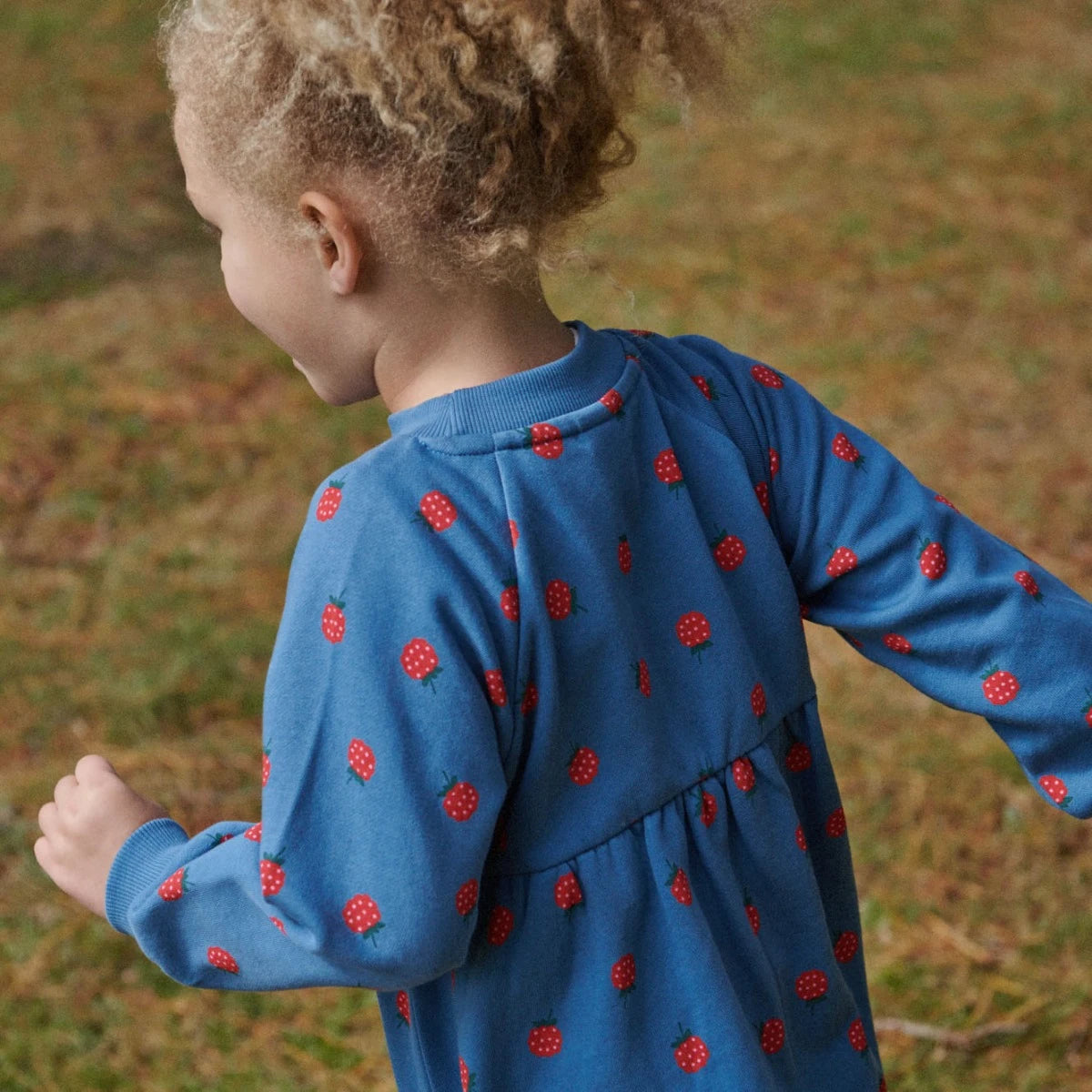 Ines Raspberry Sweatshirt Dress