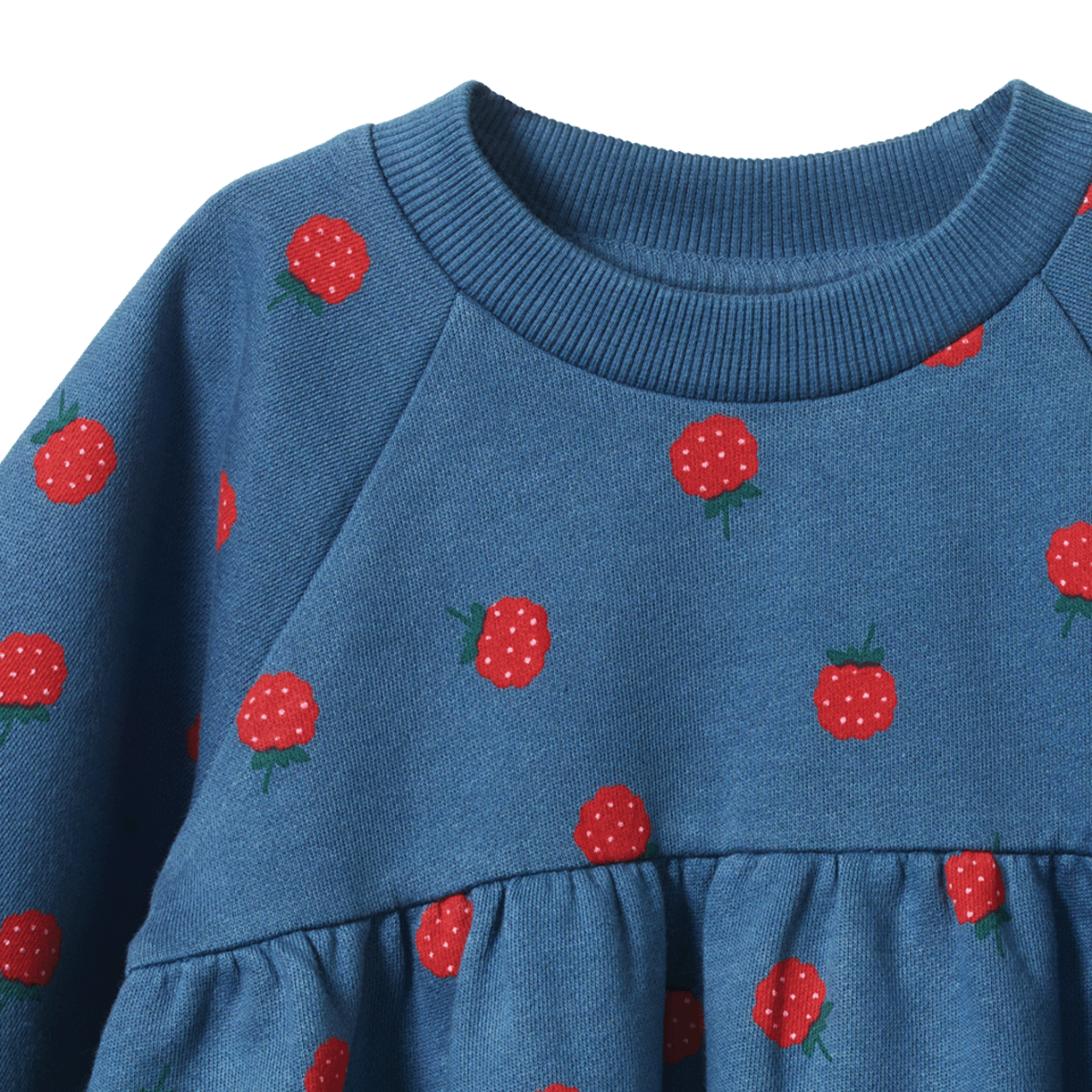 Ines Raspberry Sweatshirt Dress