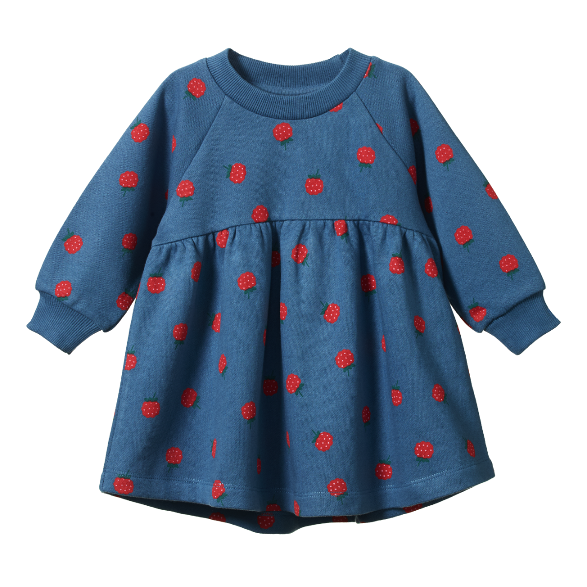 Ines Raspberry Sweatshirt Dress