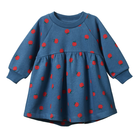 Ines Raspberry Sweatshirt Dress