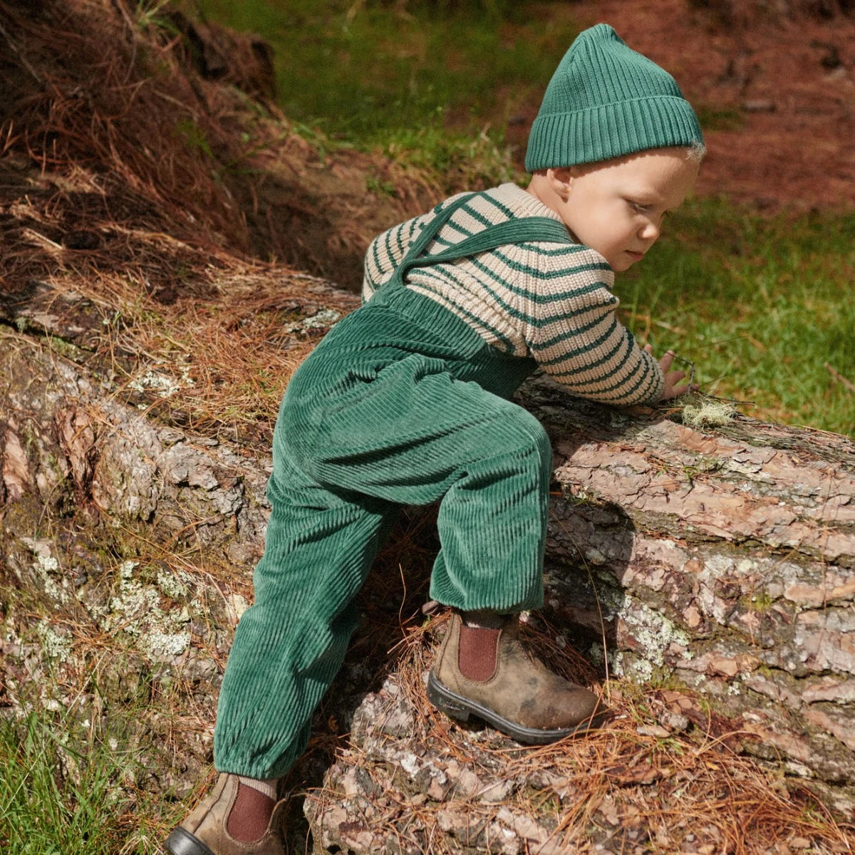 Tipper Overalls