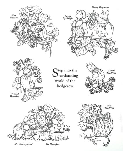 Brambly Hedge: Nature Coloring Book